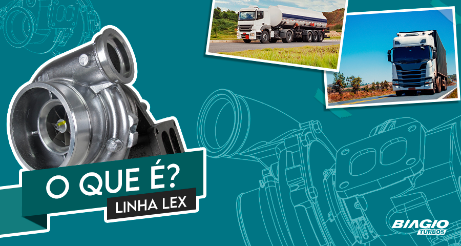 Tudo o que você não sabia sobre a nossa linha LEX!